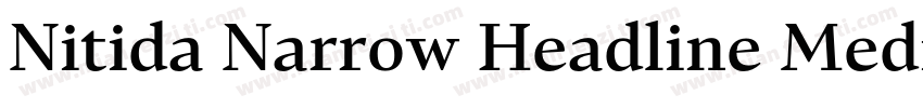 Nitida Narrow Headline Medium字体转换
